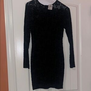 Windsor Black Floral Lace Long Sleeve Dress